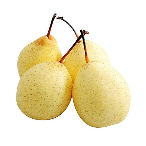 鸭梨 pear