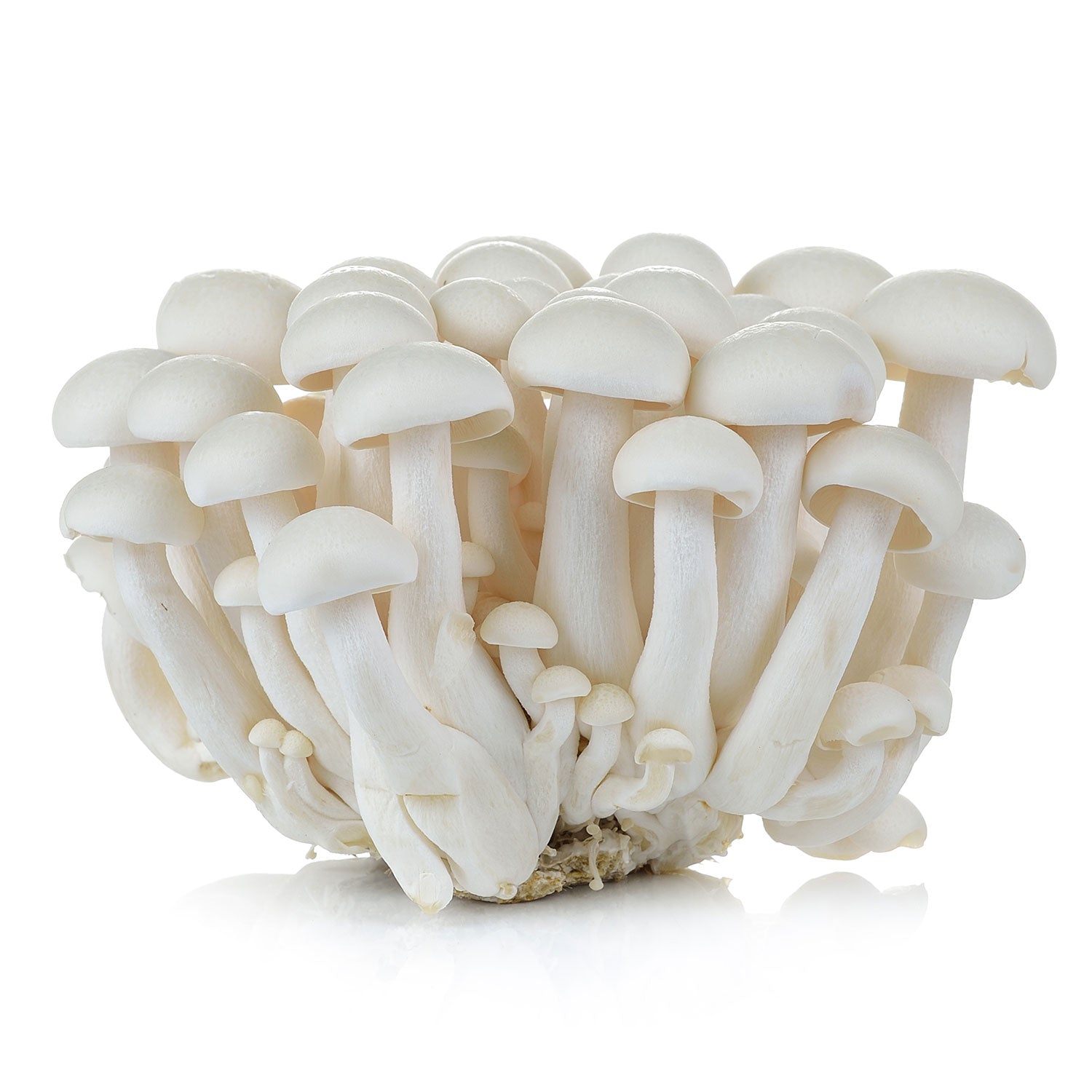 白玉菇 white beech mushroom 150g