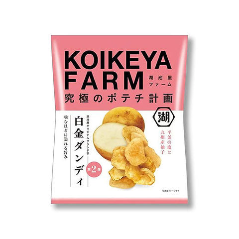 KOIKEYA  Kyushu Yuzu Flavor Potato Chip 55g