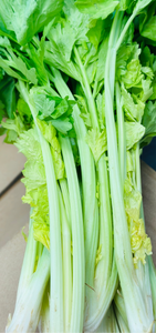 芹菜 称重 celery  per LB