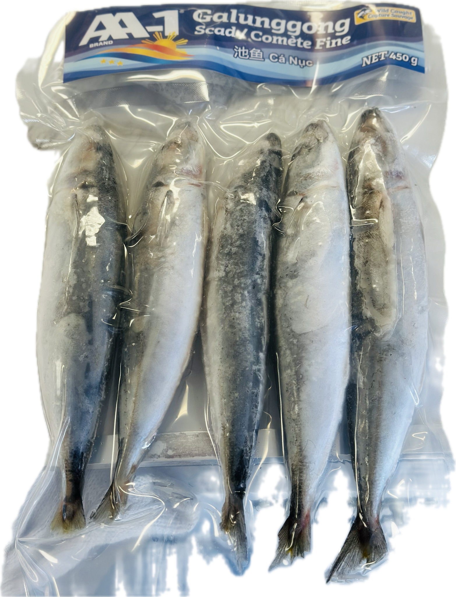 AA1  wild caught galunggong 454g 池鱼