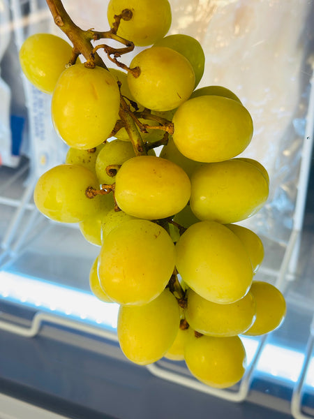 Sun world Autumn Crisp Grapes by wight 秋脆葡萄  称重