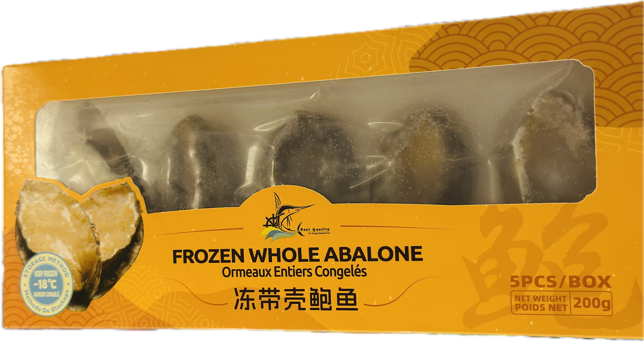 FY FROZEN WHOLE ABALON  福洋冻带客鲍鱼