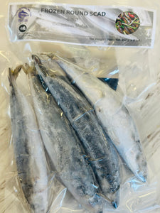 Hai Wei Frozen Round Scad 小池鱼 (454g / 1lb)