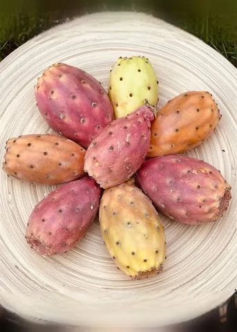 prickly pears  仙人掌果称重