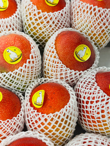 太阳之子芒果 称重 Egg of the sun mango by wight