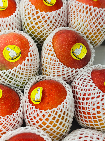 太阳之子芒果 称重 Egg of the sun mango by wight