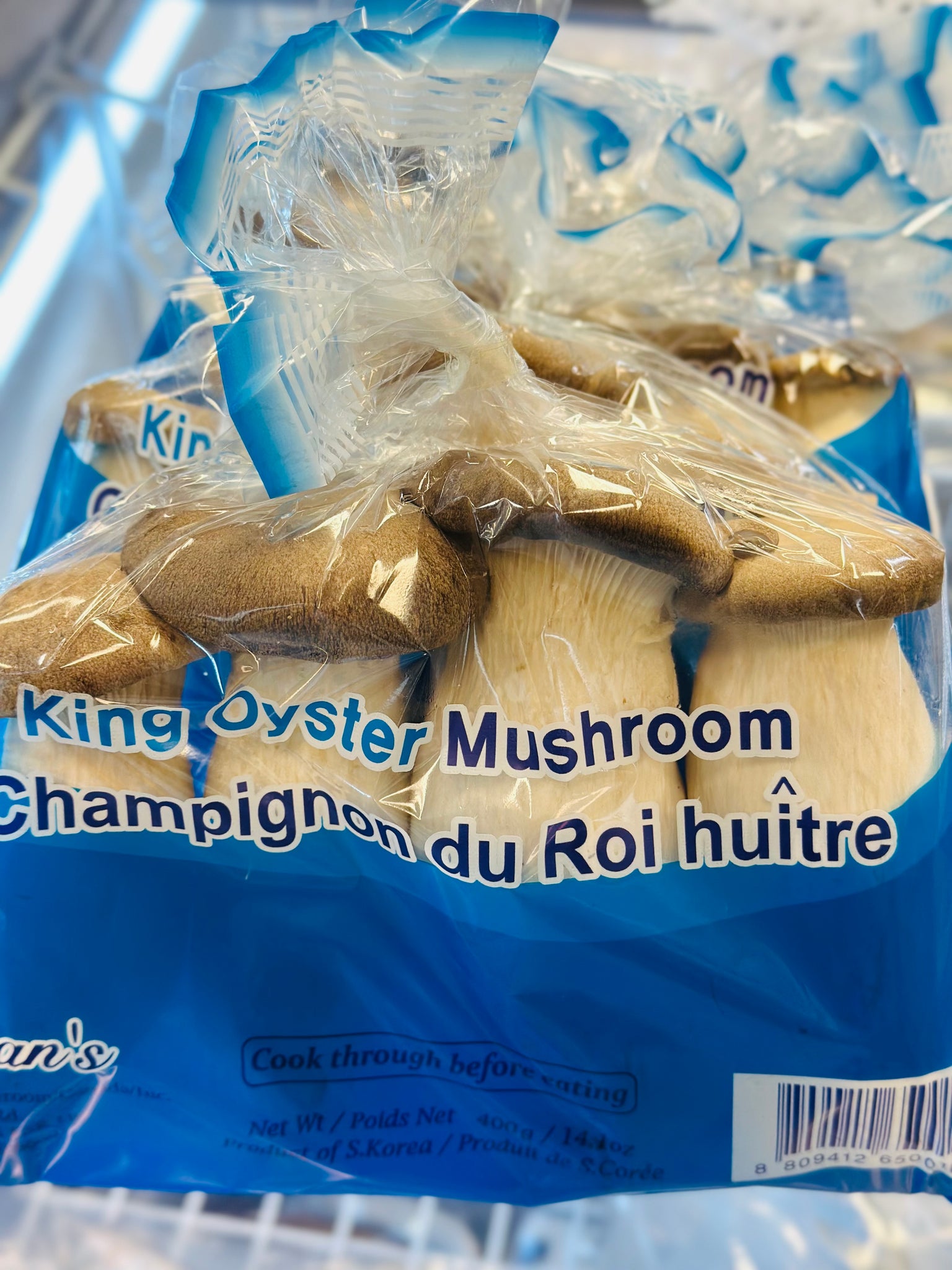 King oyster mushroom