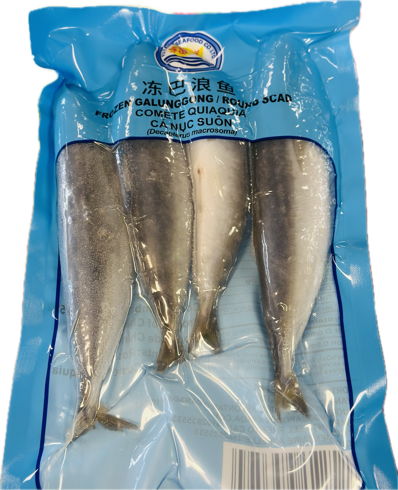 福洋 冻巴浪鱼454g FY Frozen Galungong/Round Scad