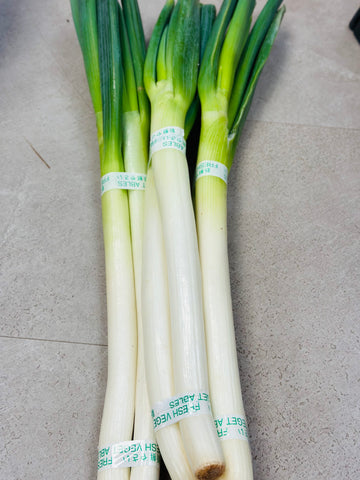 green onions 大葱 perLB