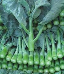 Chinese Broccoli (GaiLan) Per LB 芥兰 称重
