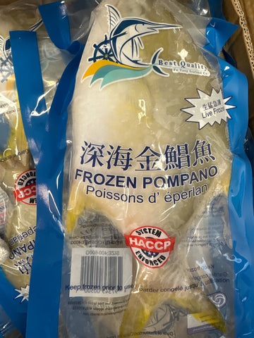 FY frozen pompano 福洋金仓鱼