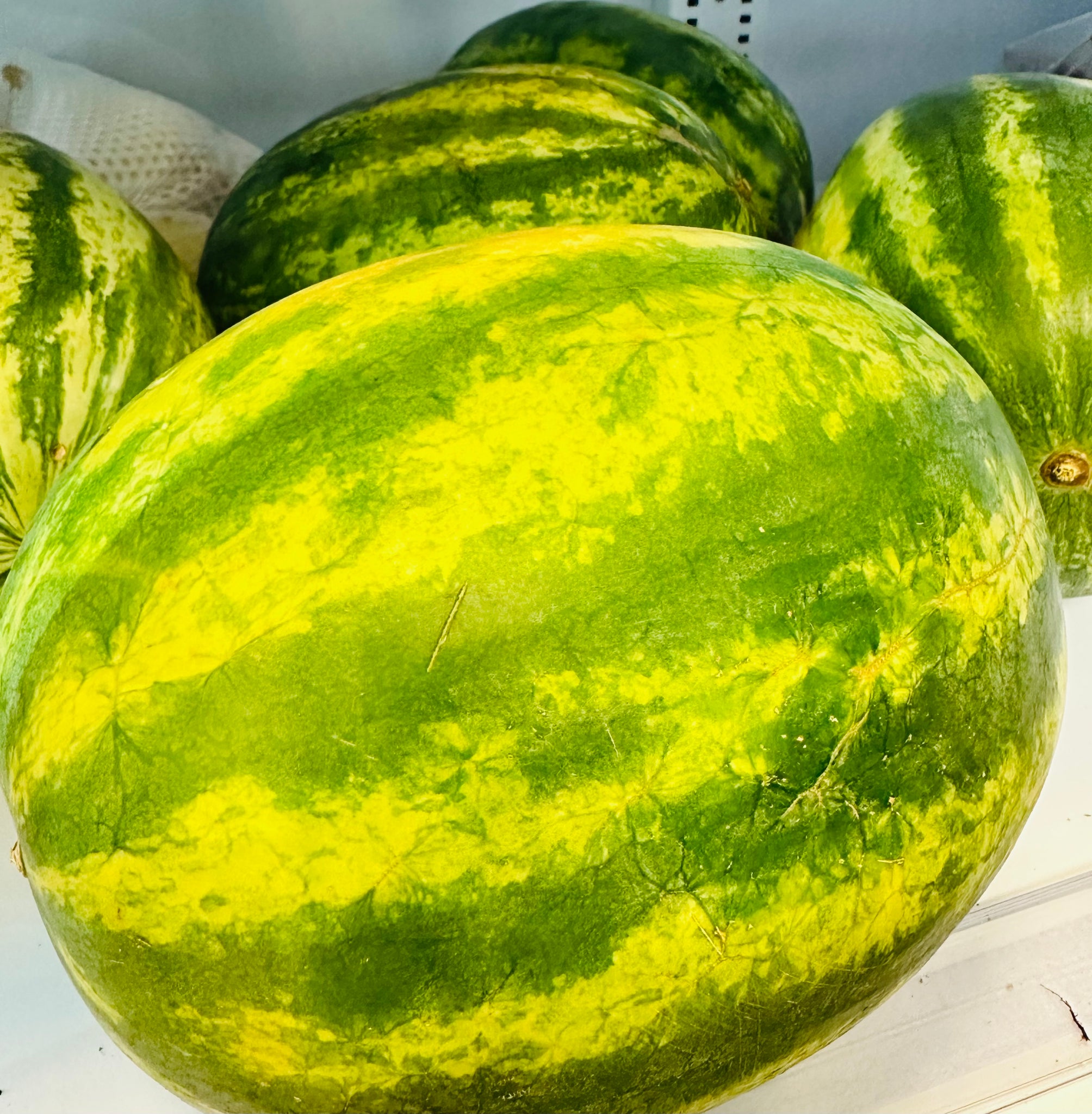西瓜 water melon  each
