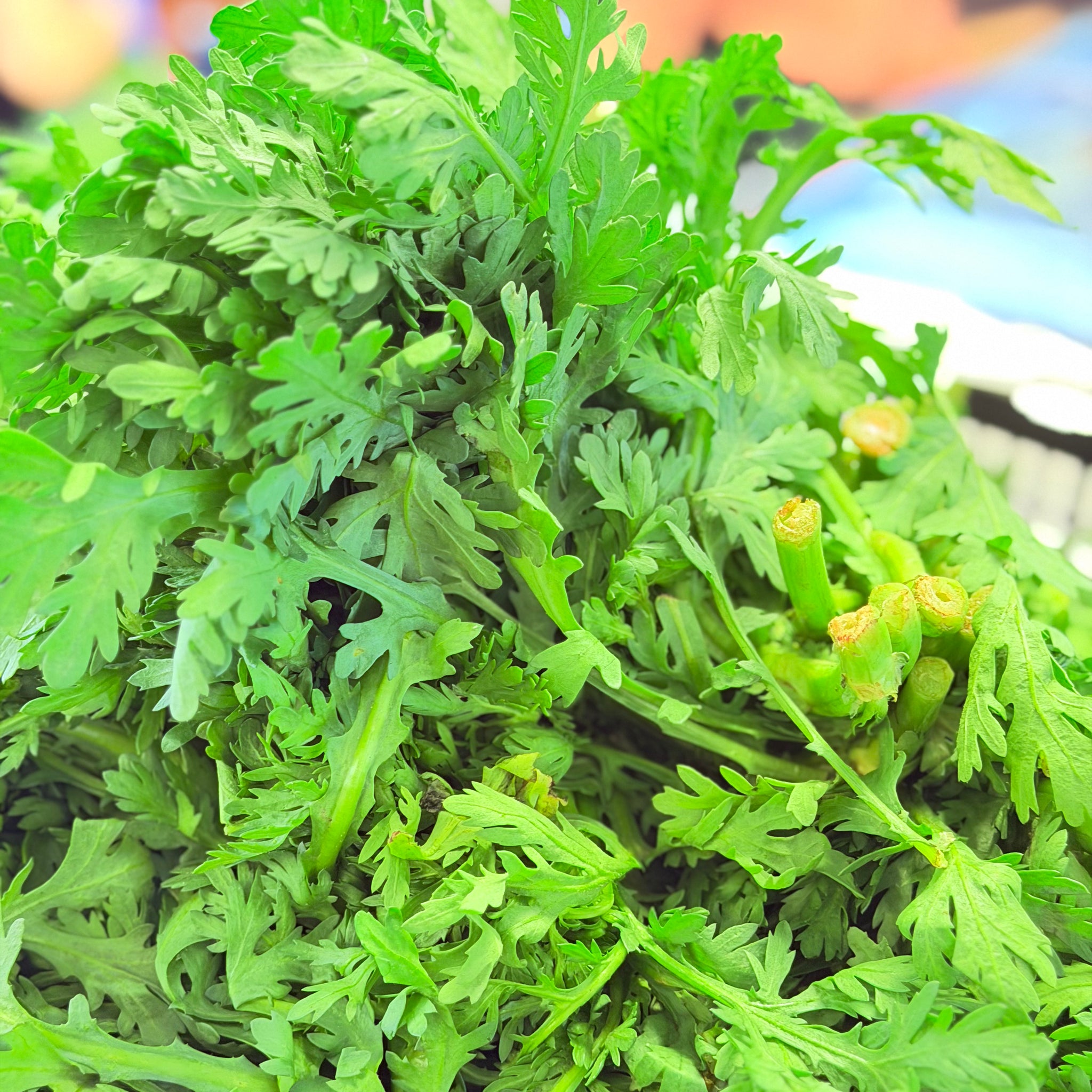 茼蒿  称重/ Garland Chrysanthemum per LB