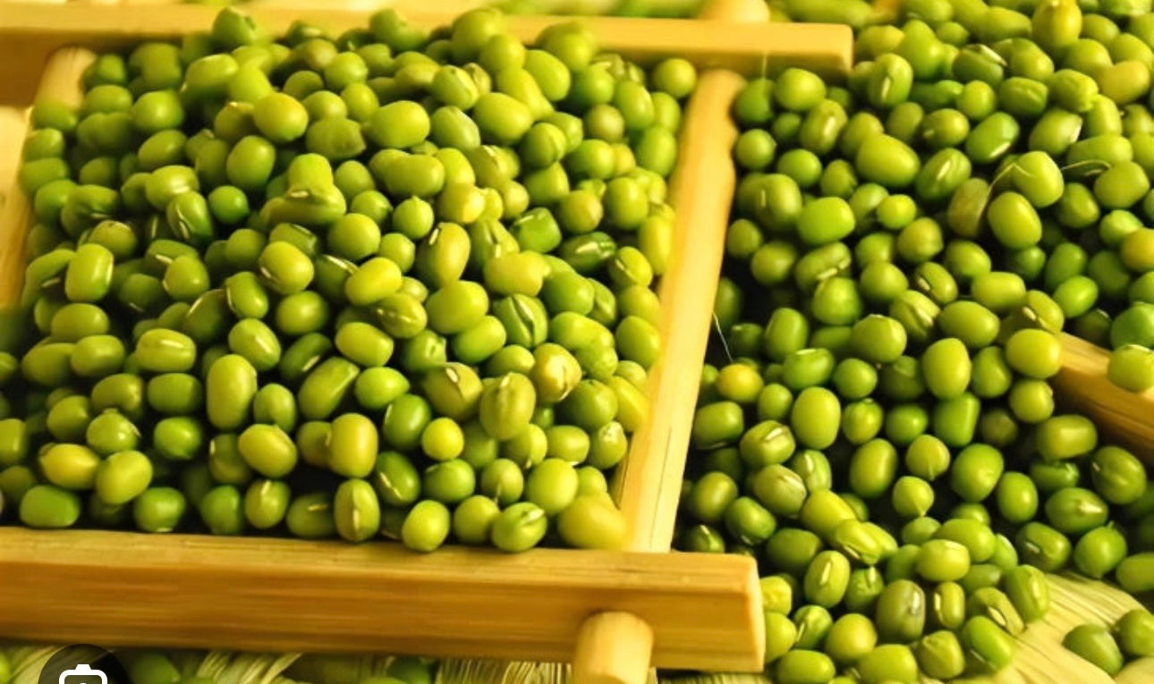 美林国际 绿豆 green bean 300克