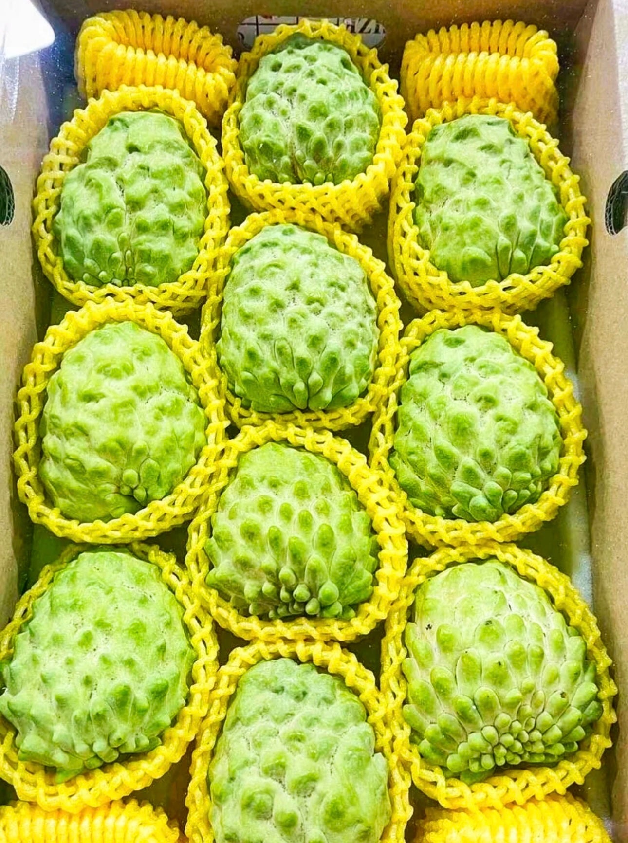 释迦custard apple/each