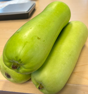 蒲瓜 Bottle gourd