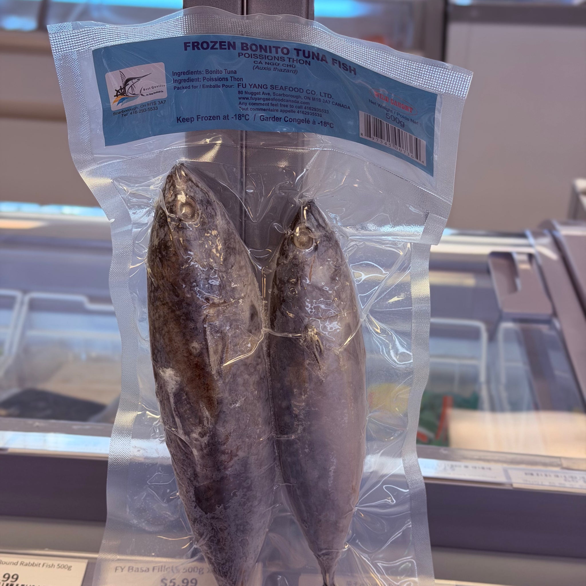 FY Frozen Bonito Tuna 500g