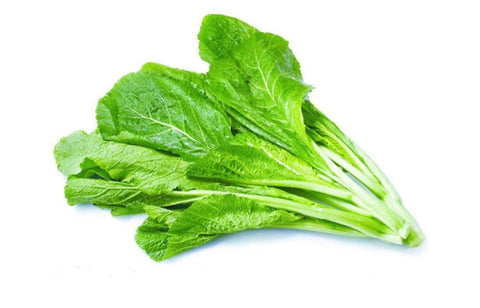Mustard Greens babys小芥菜