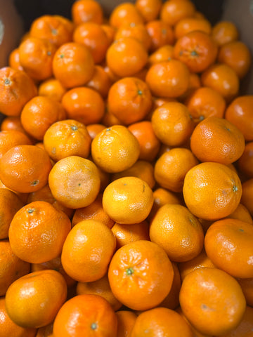 橘子 orange per LB