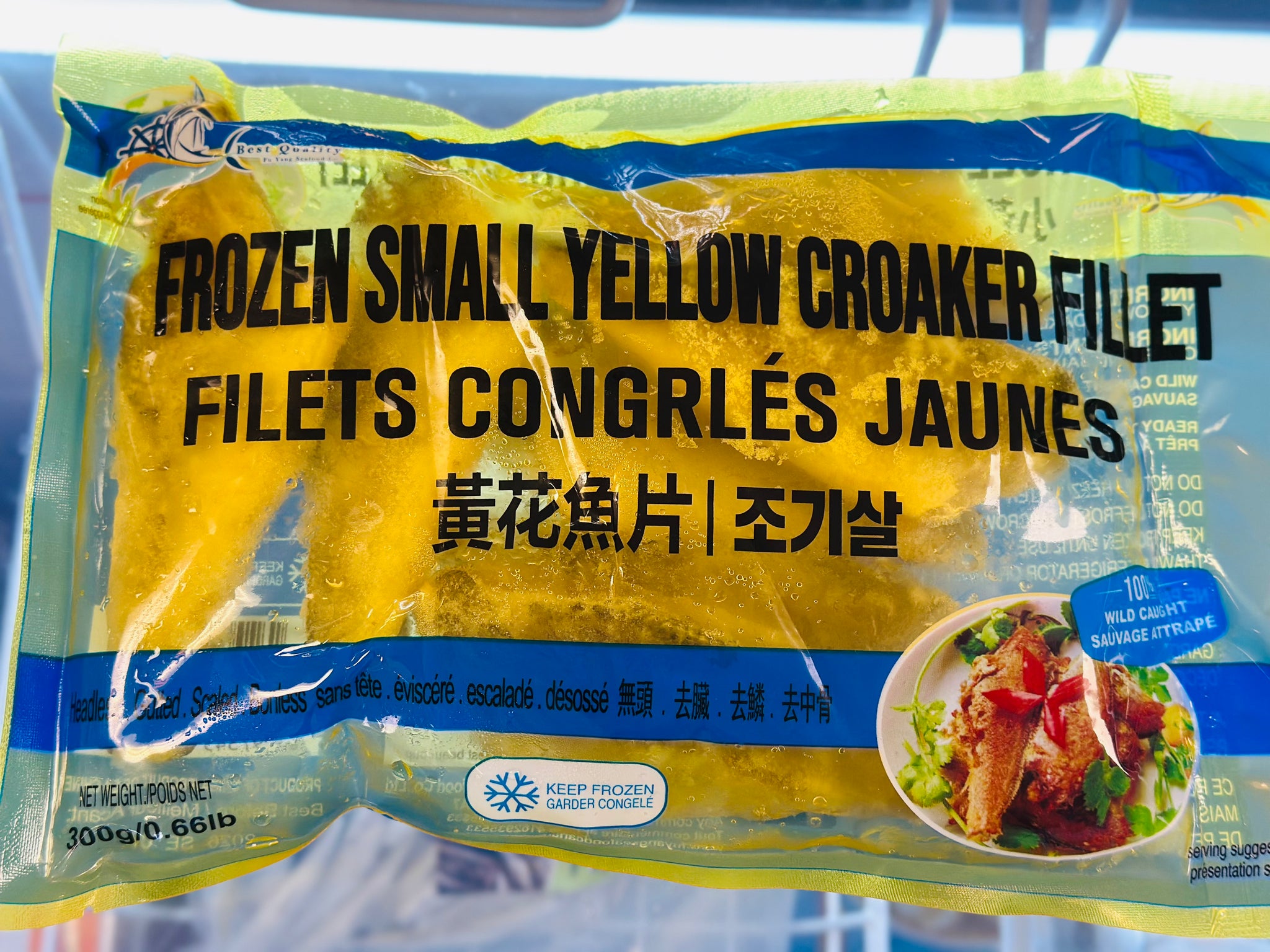 FY Frozen small yellow croaker fillet 300g
