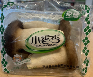 小香杏 king oyster mushrooms