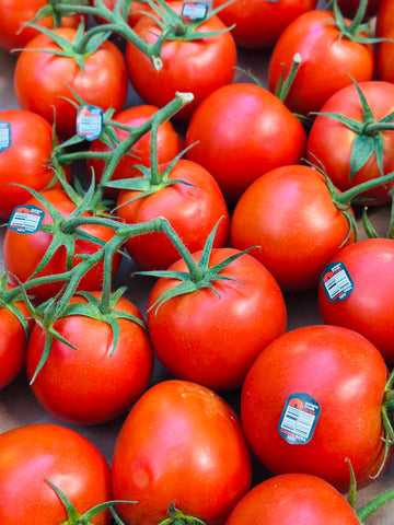 Tomatoes on the vine per LB 有枝西红柿 称重