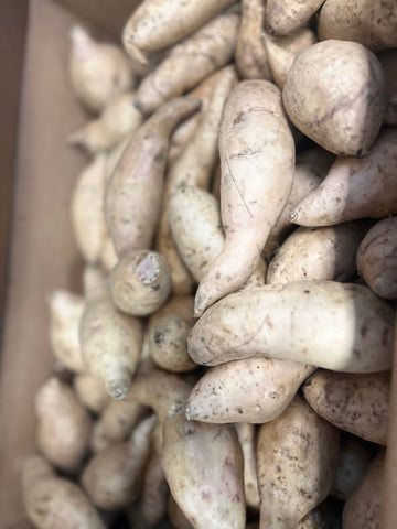 夏威夷紫薯 purple yam per LB