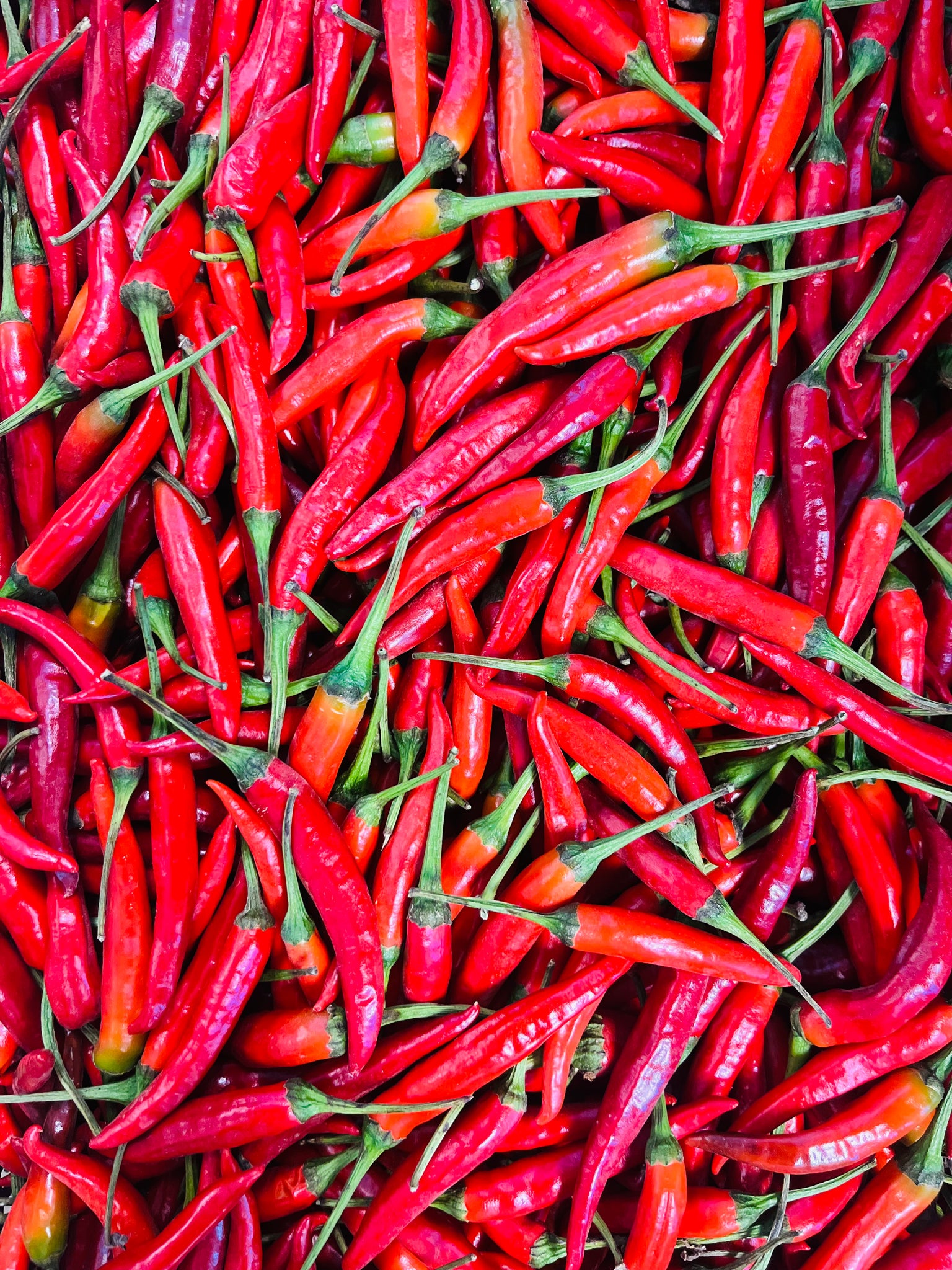 Small red chili pepper 小红辣椒