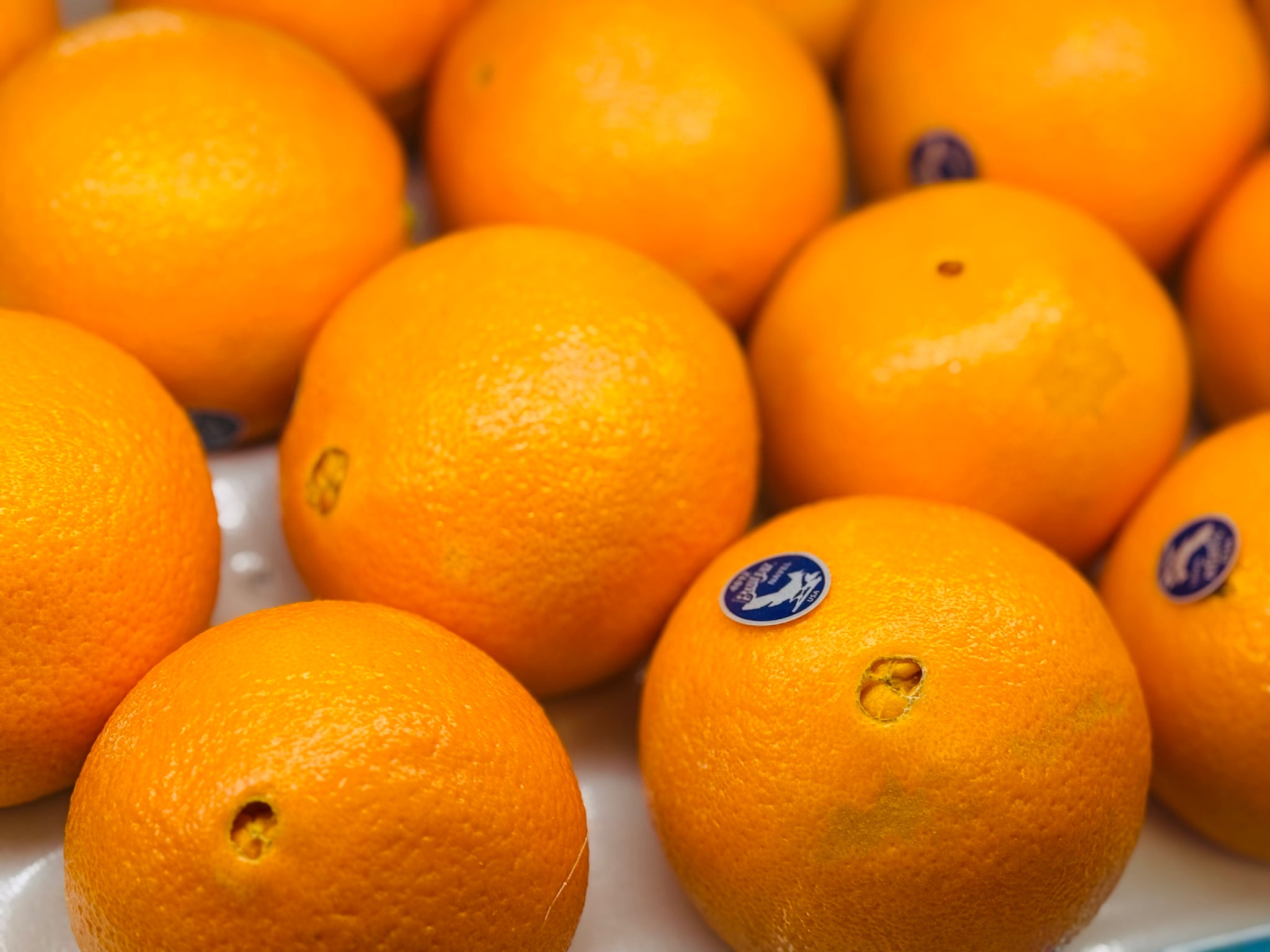 Fresh Orange脐橙/LB