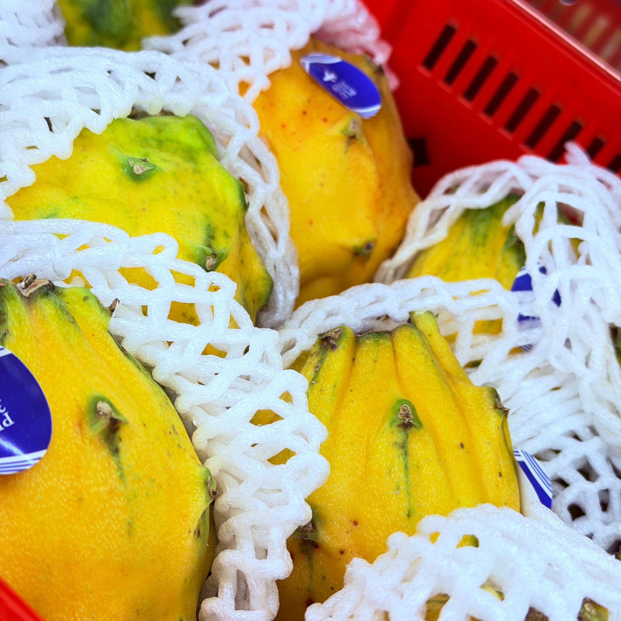 黄龙果 称重 / Yellow Dragon Fruit per LB