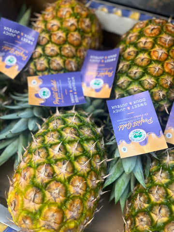 菠萝 pineapple /each