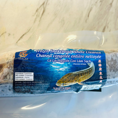 Frozen Snakehead Fish 广东生鱼