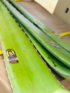 fresh Aloe Vera leaves per LB
