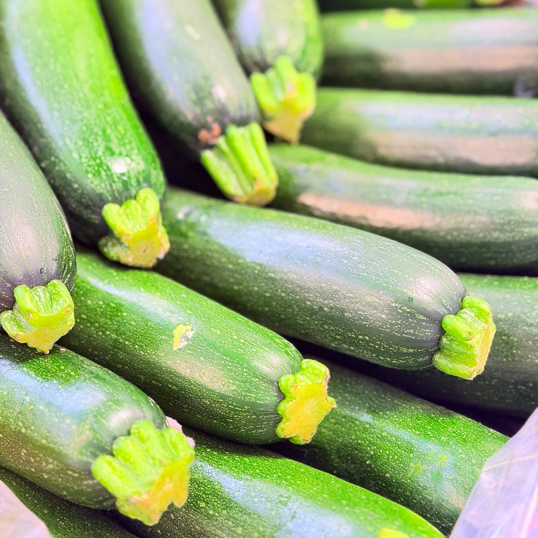 西葫芦 称重 / Zucchini per LB
