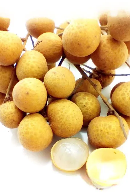 Longan 龙眼 桂圆 Per Lb