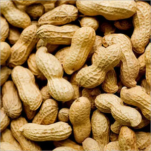 Raw Peanuts in Shell per LB 干花生（生的）称重