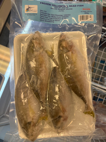 Frozen yellowtail scad fish