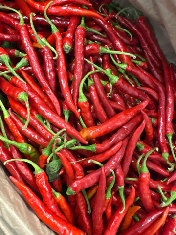 Fresh Red Chili Peppers / Red Hot Chili) 新鲜红辣椒