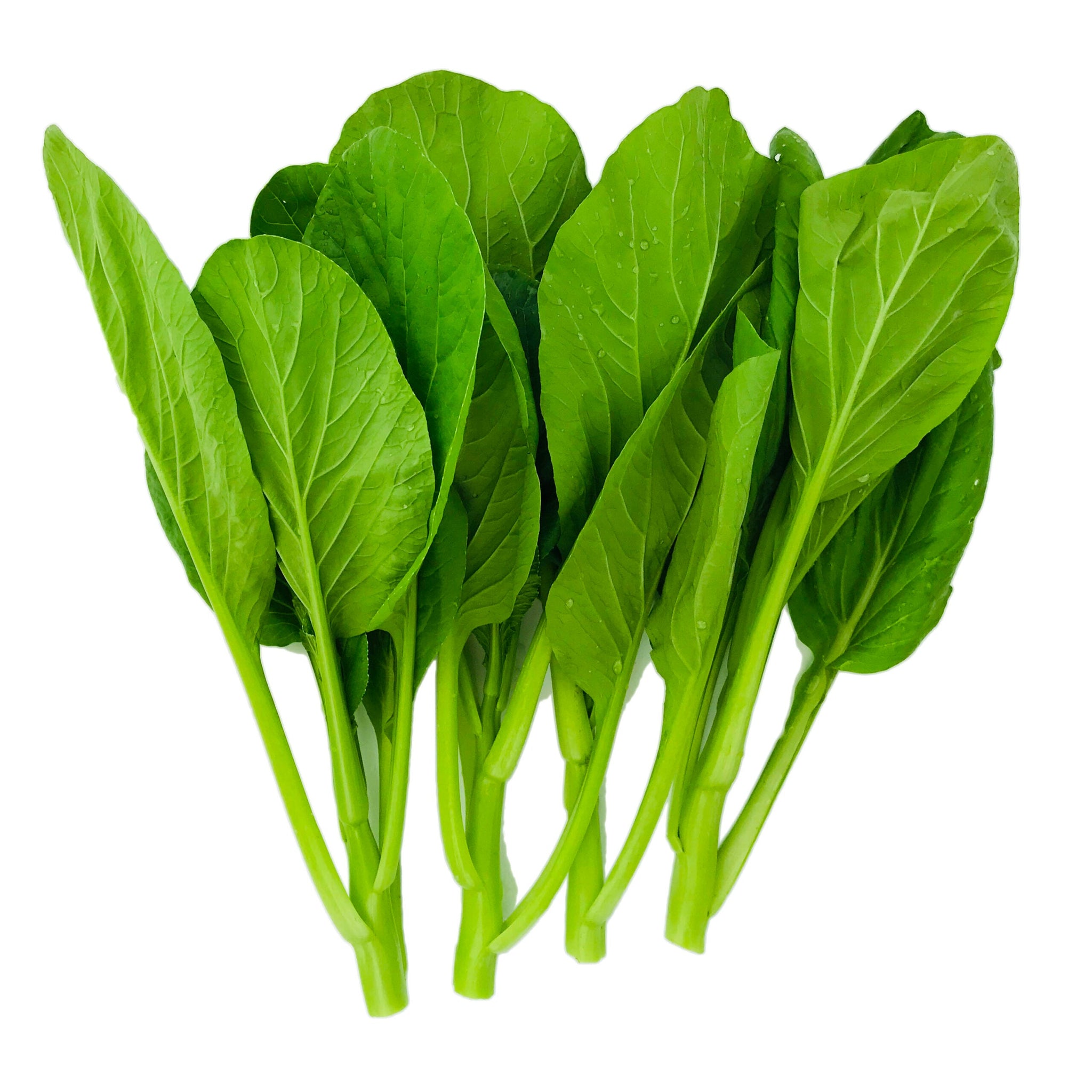 菜心 一磅 Choy Sum per 1LB