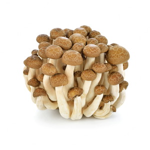 蟹味菇 brown beech mushroom 150g