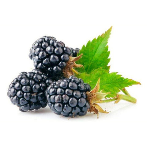 Sweet batch 黑莓 blackberry