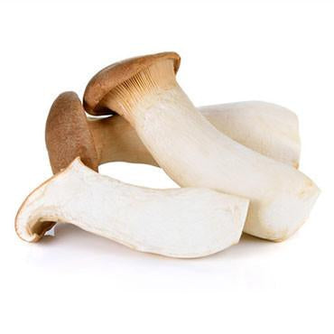 皇子菇/ king oyster mushroom