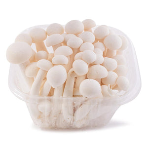白玉菇/white shimeiji mushroom