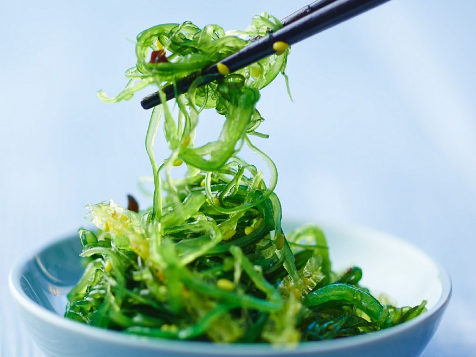 福洋裙带沙拉 Frozen Seaweed Salad 2LB